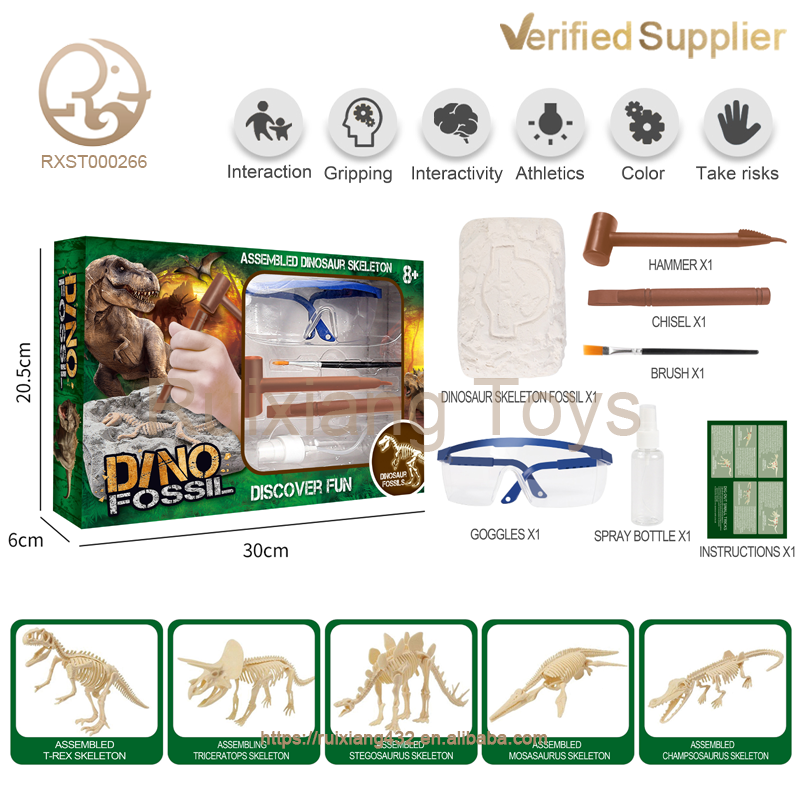 Dinosaur Skeleton Fossil Excavation - Image 3